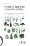 Architecture des plantes et production végétale