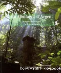 La montagne d'argent