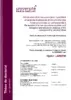 Génération d’un nouveau prion spontané et analyse biologique et structurale de fibres amyloïdes lui correspondant