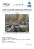 Étude des impacts de régimes de débroussaillage et de pâturage sur des pelouses envahies par la Canne de Provence (Arundo donax L.) sur une digue du site de Donzère-Mondragon (Vaucluse) dans la vallée du Rhône