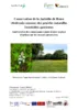 Conservation de la Jacinthe de Rome (Bellevalia romana) des prairies naturelles inondables gasconnes