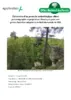 Élaboration d’un protocole méthodologique alliant pré-cartographie et projections climatiques pour une gestion forestière adaptative en forêt domaniale de Sillé