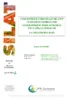 Conception et mise en œuvre d’un système d’information géographique pour le réseau d’éclairage public de la ville de Bourges