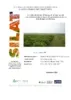 Suivi des plantations d’acacias et de leur taux de renouvellement dans le bassin d’approvisionnement en bois-énergie de Kinshasa