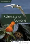 Oiseaux de Guyane