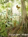 Picolette