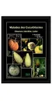 Maladies des cucurbitacées