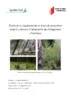 Étude de la régénération en forêt de protection dans le contexte d’adaptation au changement climatique