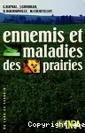 Ennemis et maladies des prairies