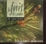 La forêt des landes de Gascogne