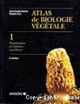 Organisation des plantes sans fleurs