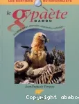 Le gypaète barbu