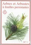 Arbres et arbustes à feuilles persistantes