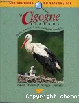 La cigogne blanche