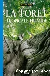La forêt tropicale humide