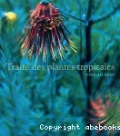 Traité des plantes tropicales