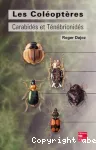 Les coléoptères carabidés et ténébrionidés