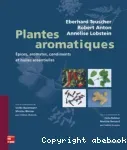 Plantes aromatiques