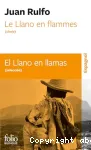 El Llano en llamas