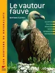 Le vautour fauve