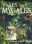 Les mygales