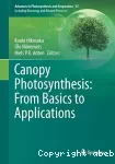 Canopy photosynthesis