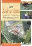 Les araignées