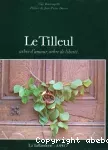 Le tilleul