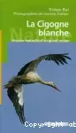 La cigogne blanche